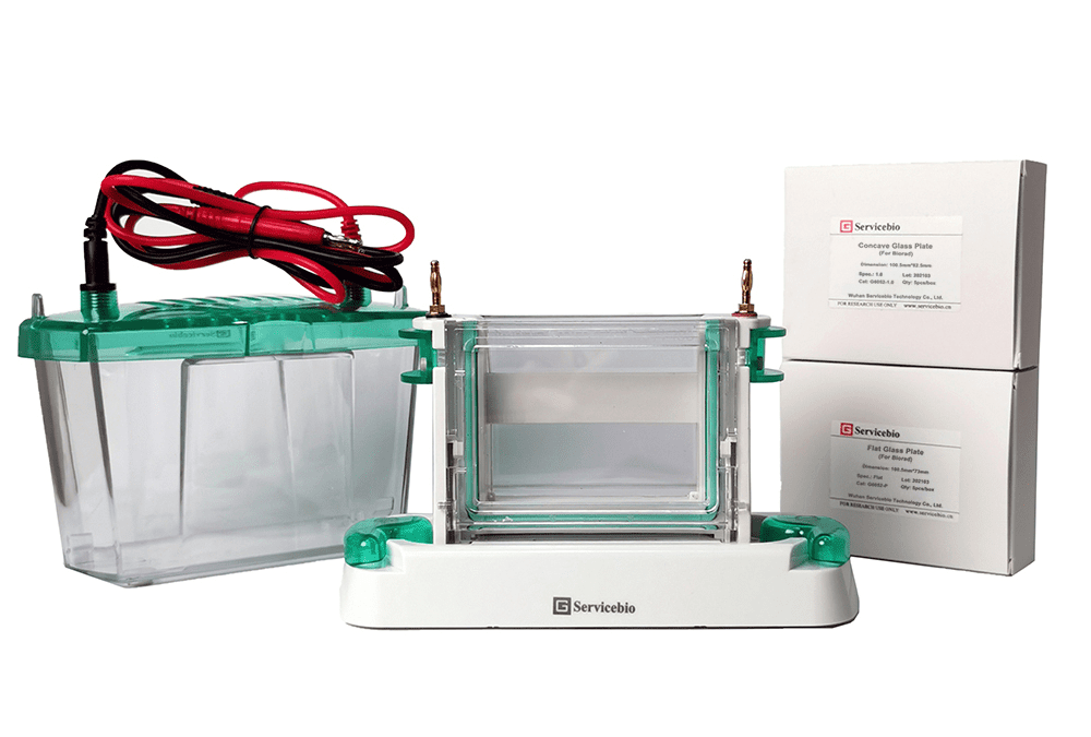 SVE-2 Protein Electrophoresis System