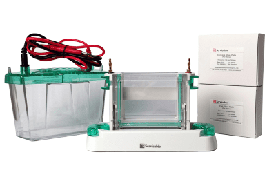 SVE-2 Protein Electrophoresis System