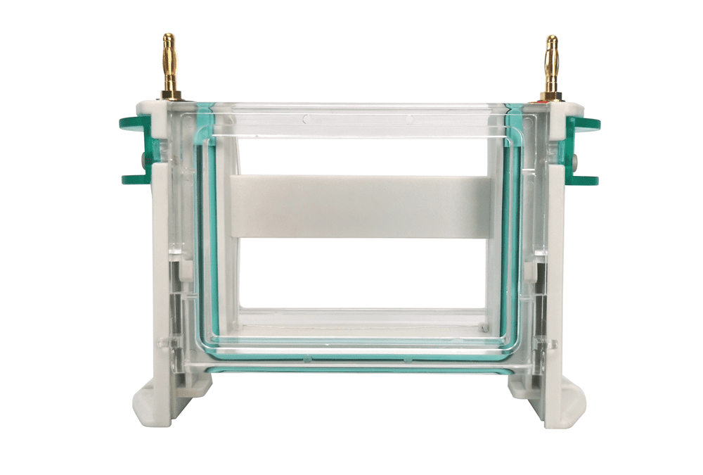 Electrophoresis System Tank With Platinum Wire