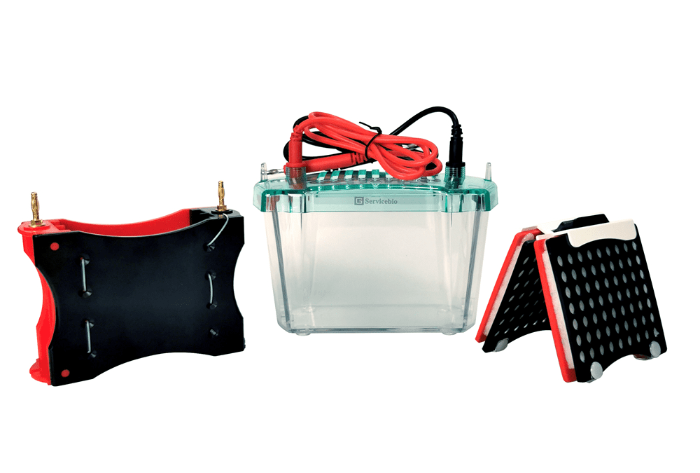 SVT-2 Wet Transfer System