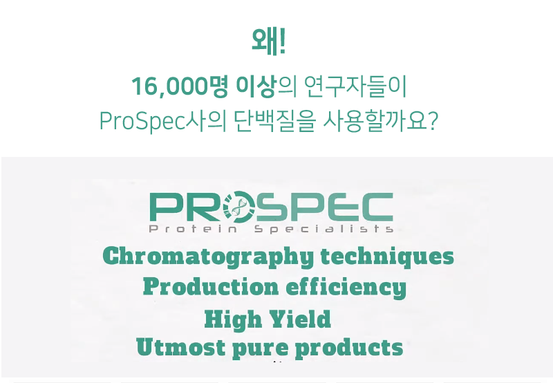 prospec_03