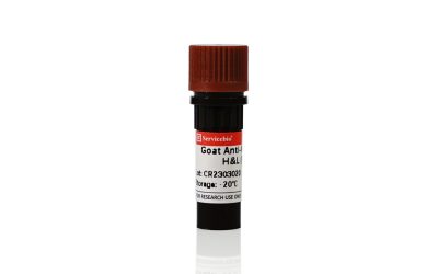 (GB23301) HRP- labeled goat anti-mouse IgG