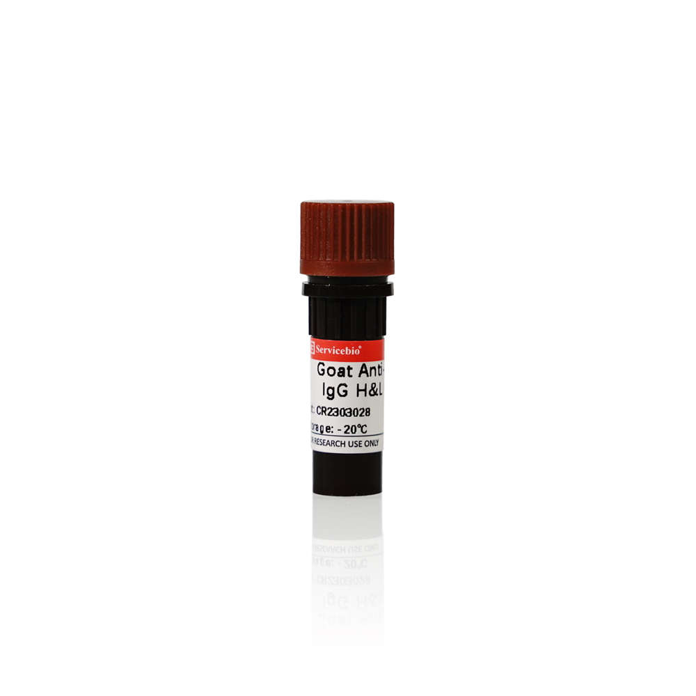 Goat Anti-Rabbit IgG H&L (HRP)