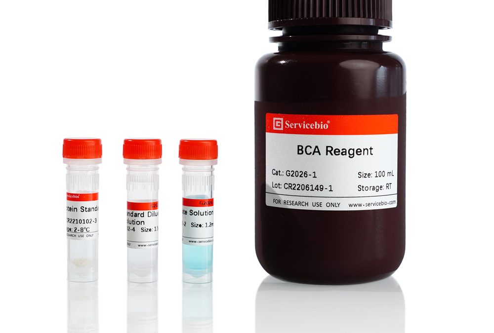 BCA Protein Quantitative Detection Kit