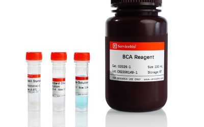BCA Protein Quantitative Detection Kit