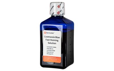 Coomassie Brilliant Blue Ultrafast Staining