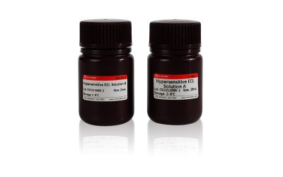 Hypersensitive ECL Chemiluminescence Kit（Femtogram)