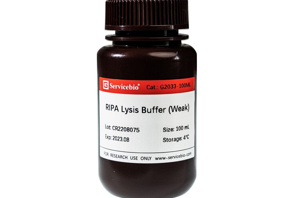 RIPA Lysis Buffer (weak)