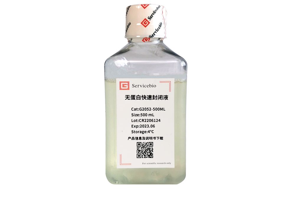 Protein Free Rapid Blocking Buffer