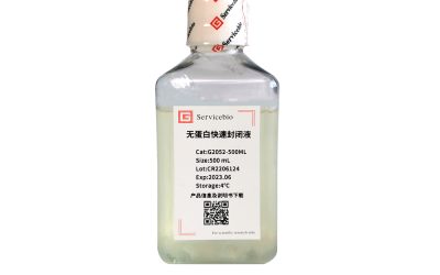 Protein Free Rapid Blocking Buffer