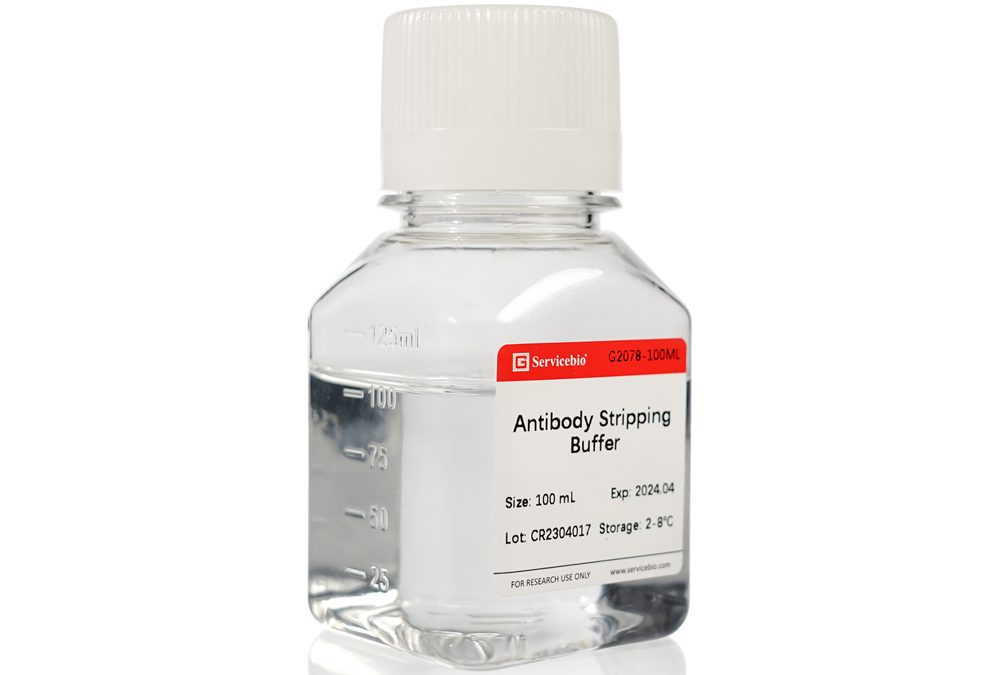 Antibody Stripping Buffer