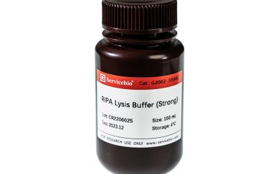 RIPA Lysis Buffer (Strong)