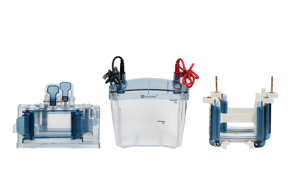 BVE-4 Vertical Electrophoresis System