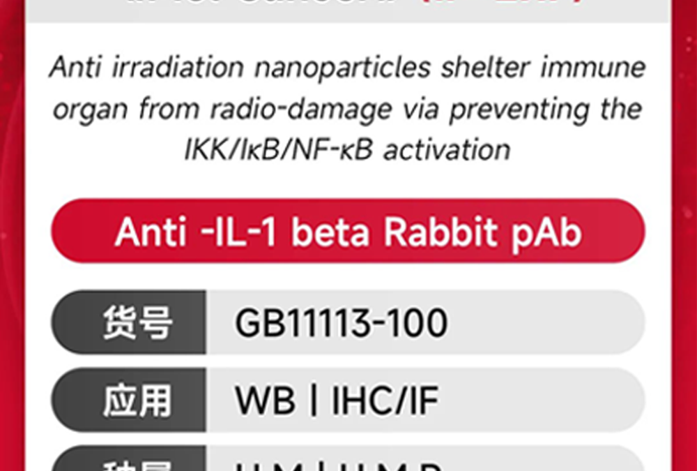 October Servicebio IF report