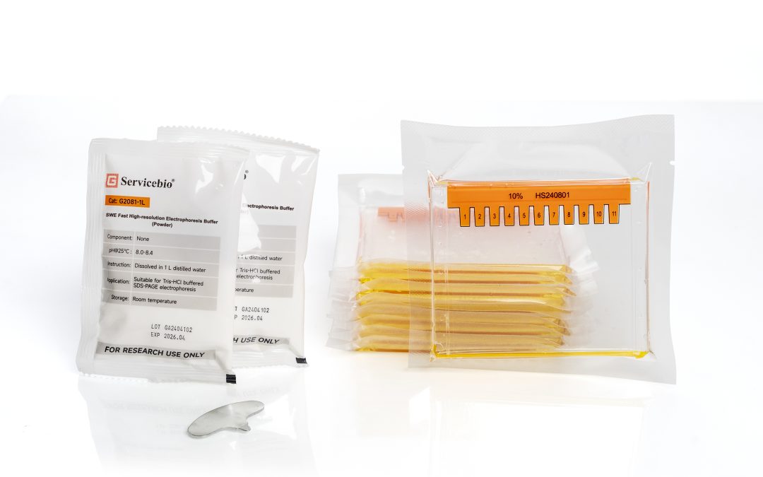 Tris SwePAGE Pre-Cast Gel (11-well)