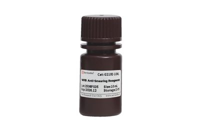 Servicebio WB Anti-Smearing Reagent