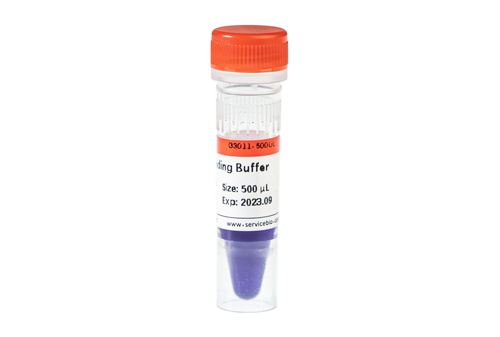 Servicebio 6× DNA Loading Buffer (G3011-500UL)