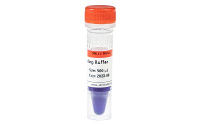 Servicebio 6× DNA Loading Buffer (G3011-500UL)
