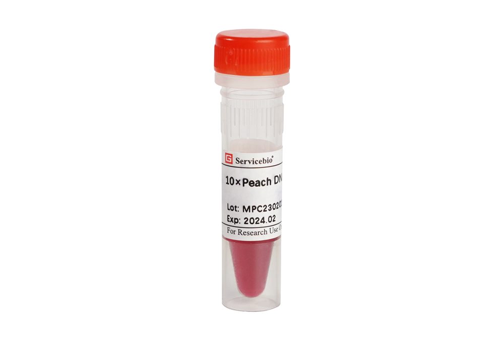 Servicebio 10×Peach DNA Loading Buffer (G3375-1ML)